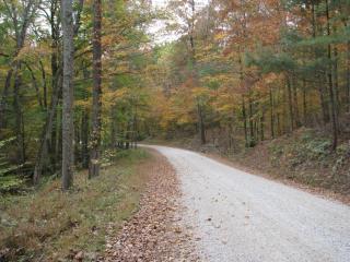 Nottingham dirt road